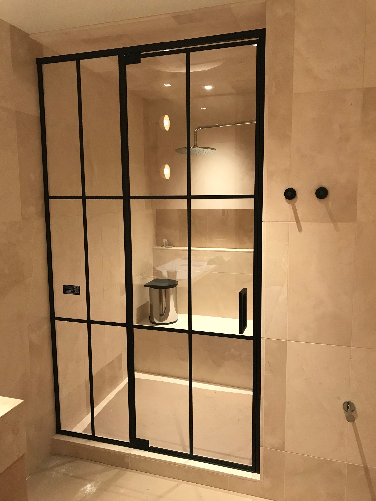Shower doors 2-JPAG.JPG